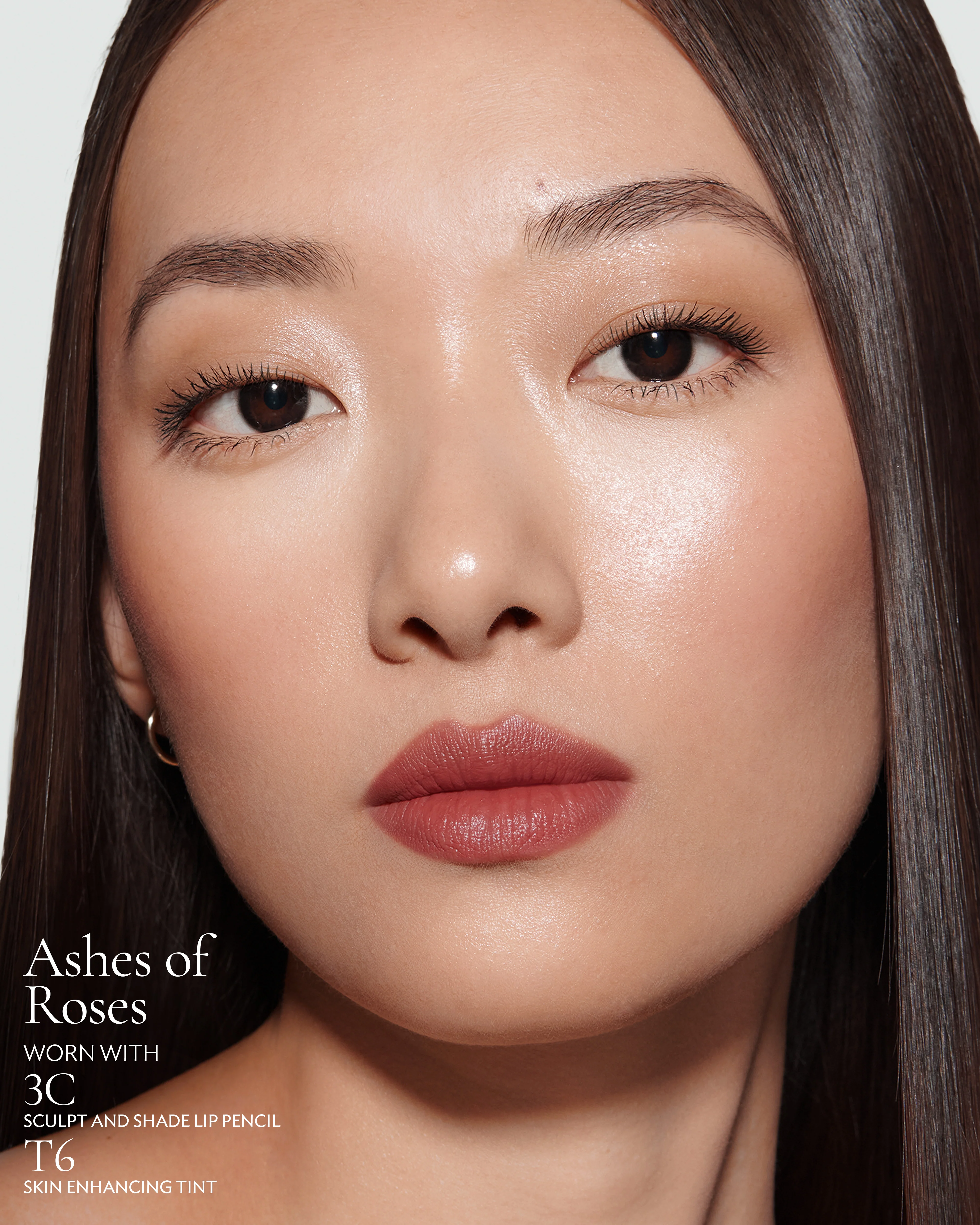 183 - The Ashes of Roses Refill (Rouge Experience Refill) - Image 5