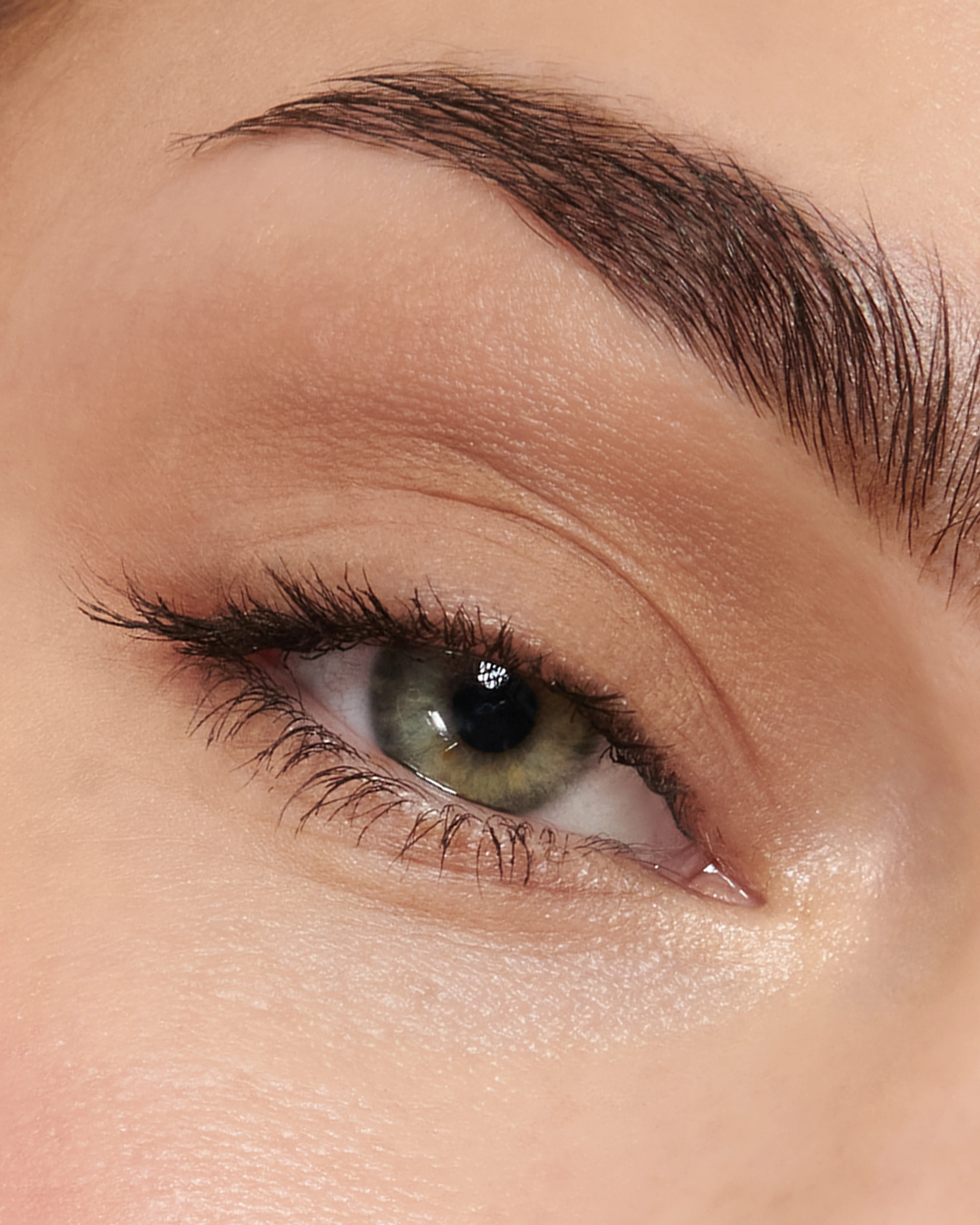 Fawn (Eyeshadow Palette) - Image 13