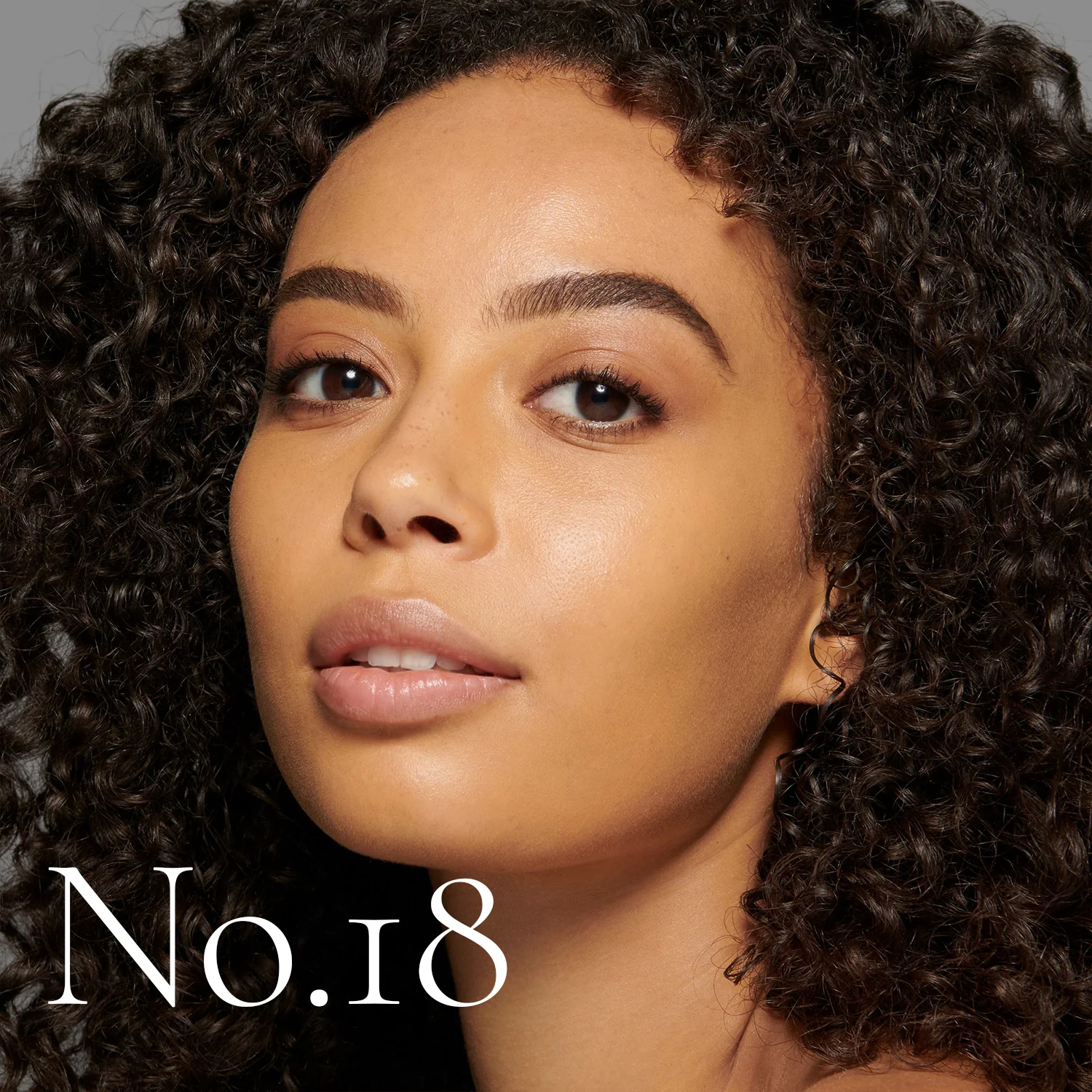 Shade No. 18 (The Foundation) - Image 7