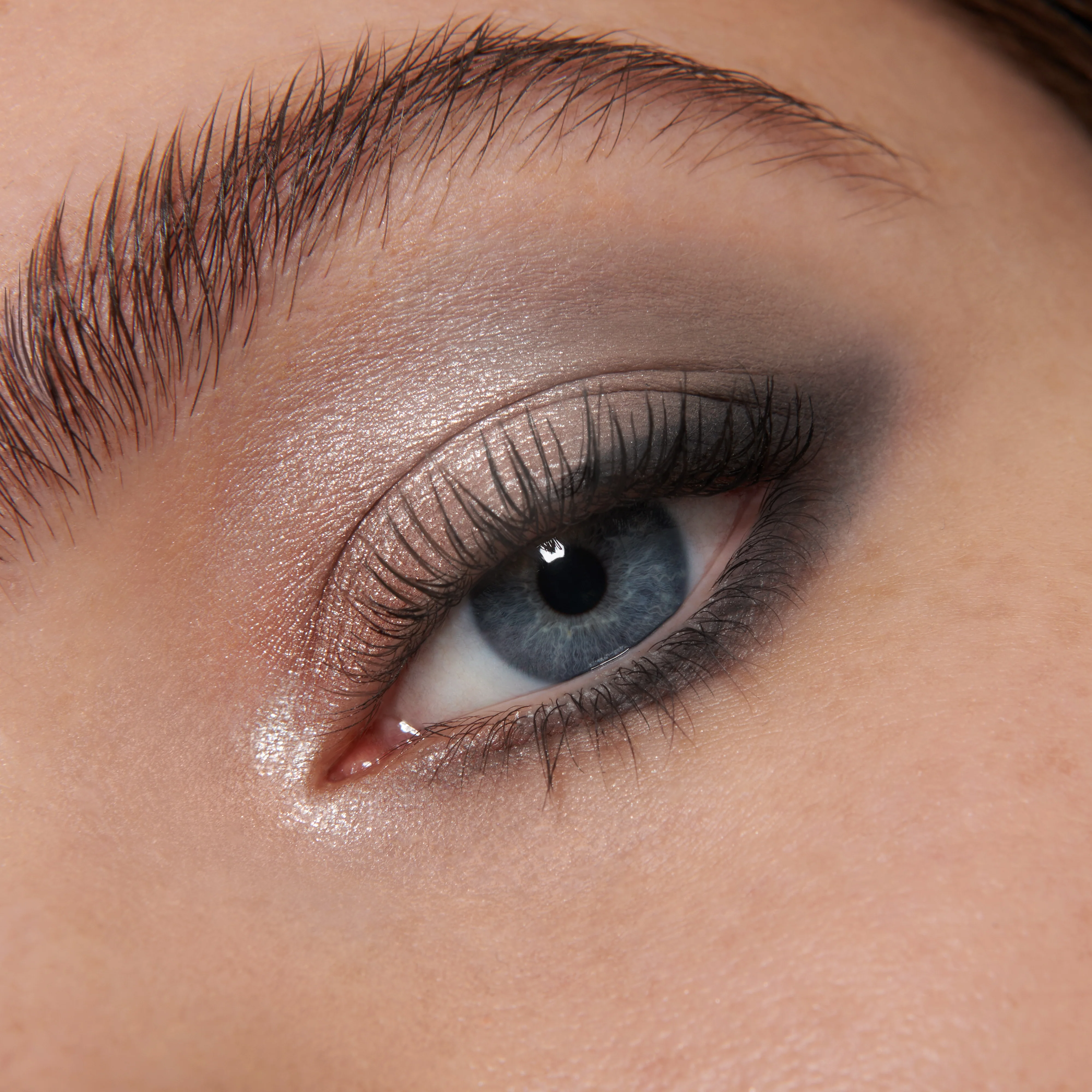 Vega (Eyeshadow Palette) - Image 3